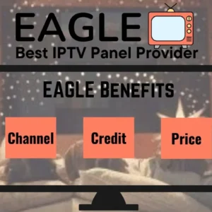 EAGLE SERVER AND PANEL