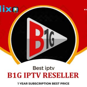 B1g IPTV