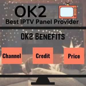 OK2 SERVER AND PANEL