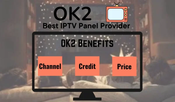 OK2 SERVER AND PANEL