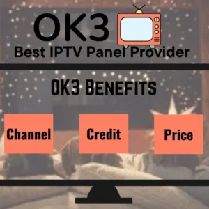 OK3 SERVER AND PANEL