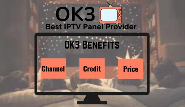 OK3 SERVER AND PANEL